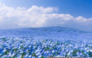 老板办公室布局风水 以避免煞气为宜