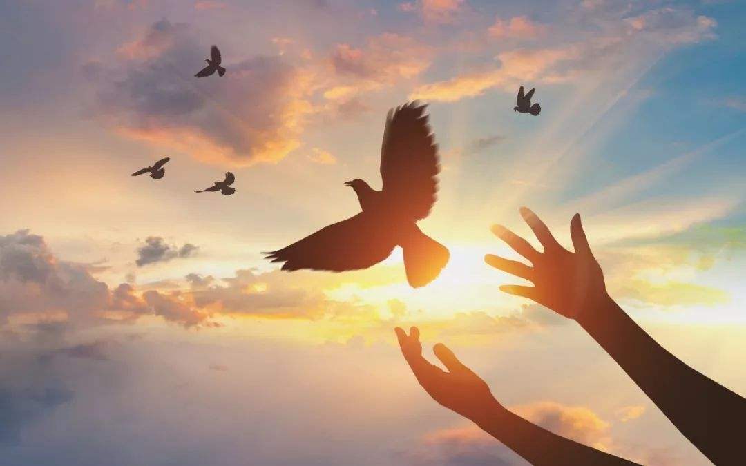 快速提升运气的方式有哪些