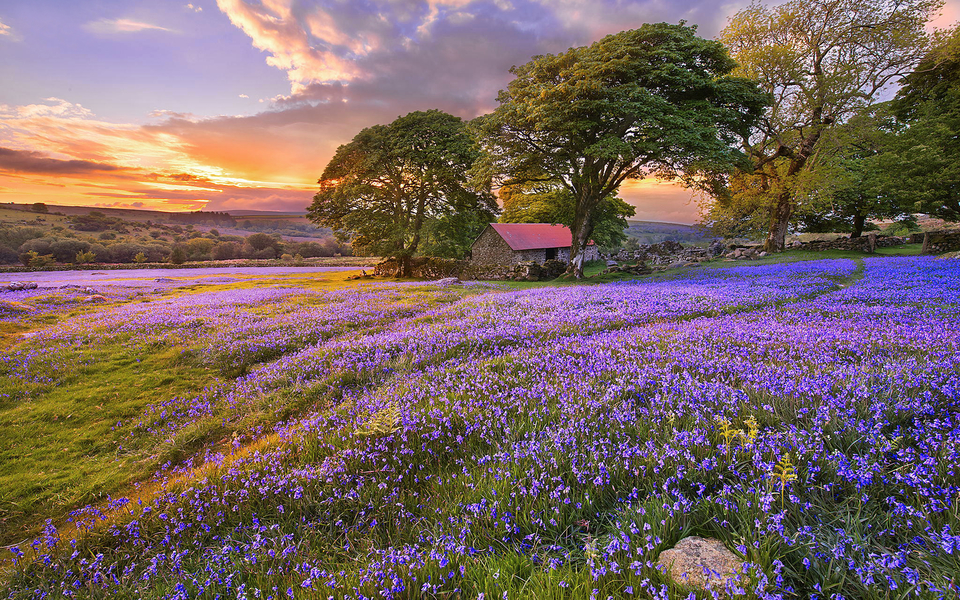 怎么样才能走桃花运 招桃花的最有效方法