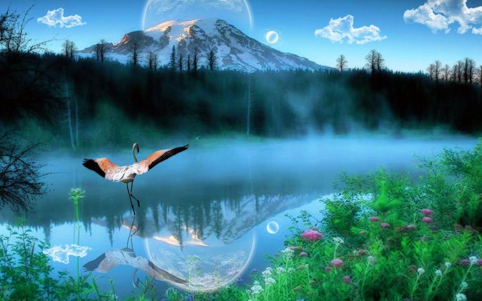 感情不畅或许是这么一些风水惹的祸