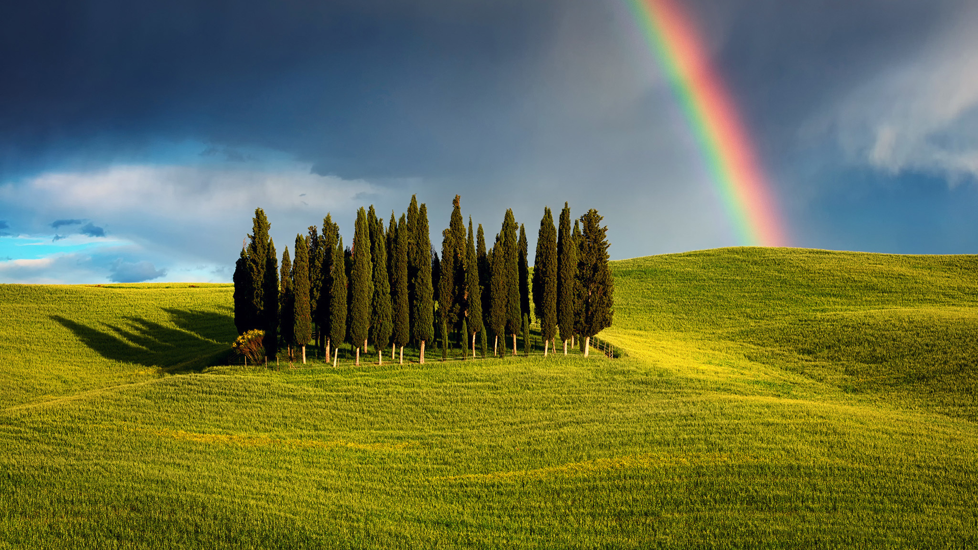卧室的床头柜可以放桃花吗