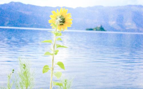 桌正对床好不好 风水影响如何呢