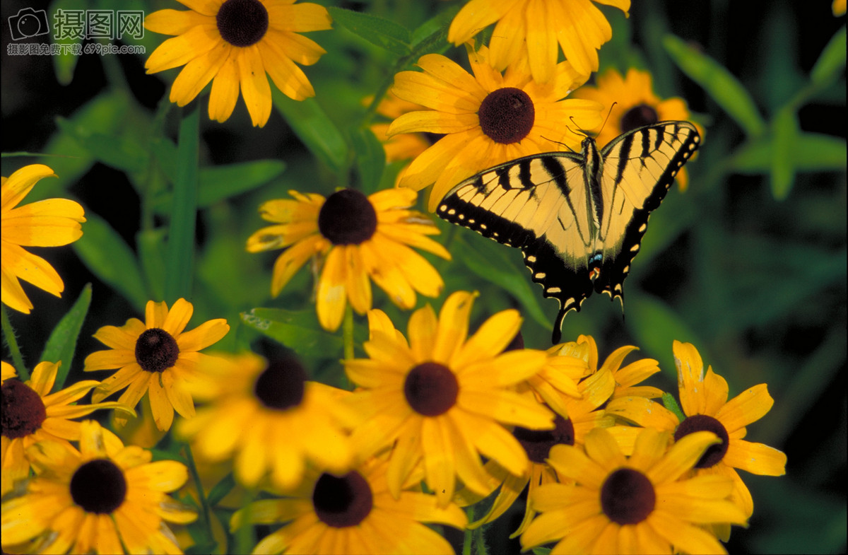 房间风水核心要素是什么 有什么建议
