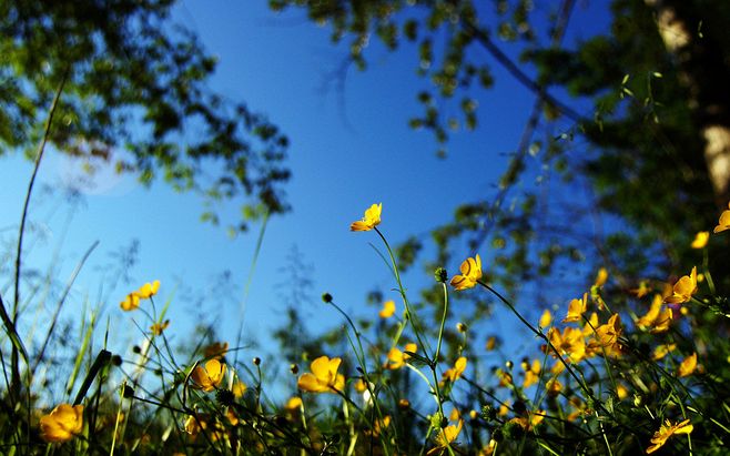 过门石这种装修对风水影响是好是坏呢
