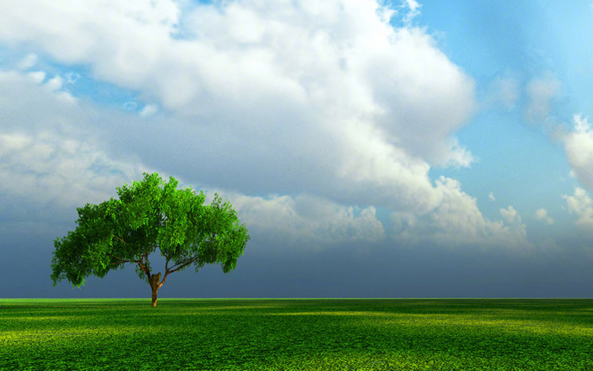 什么放在客厅和餐厅助力了运势进展