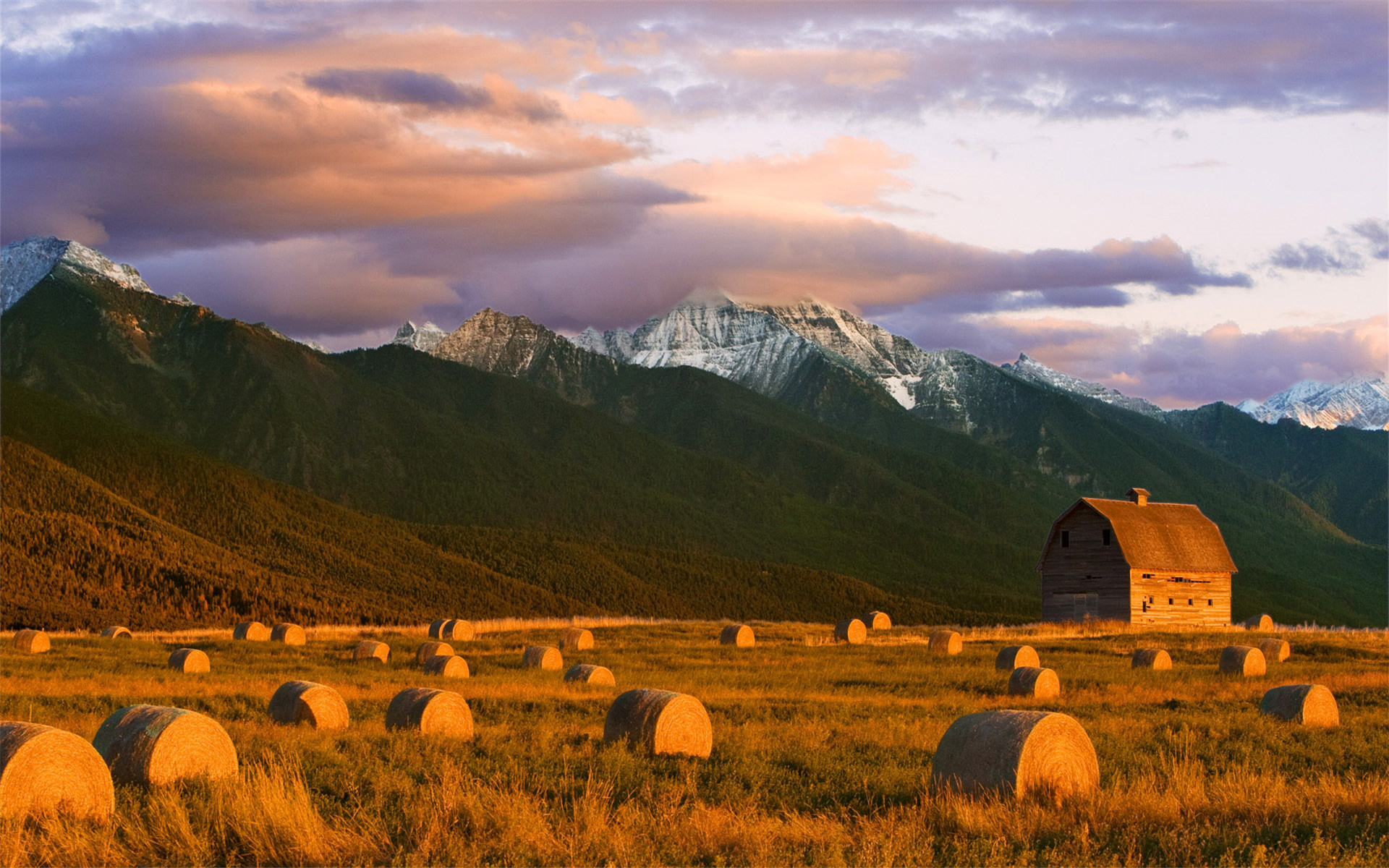 墓地中什么风水方法可以改运