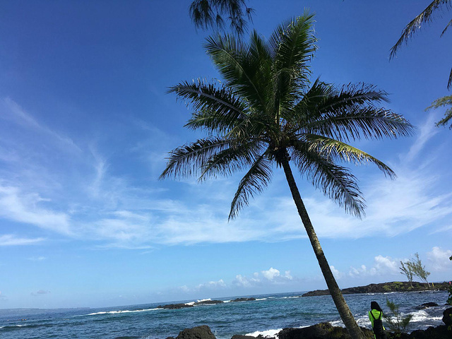 家里养鸟好吗 对风水有影响吗