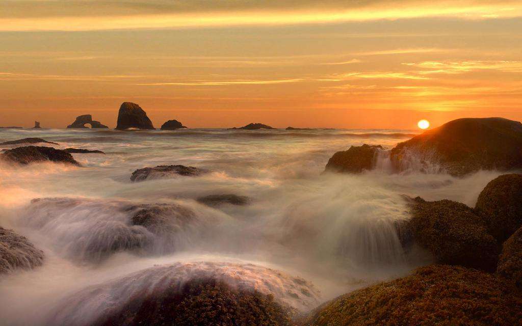 家里养龟单数好还是双数好呢 养乌龟有什么迷信说法 