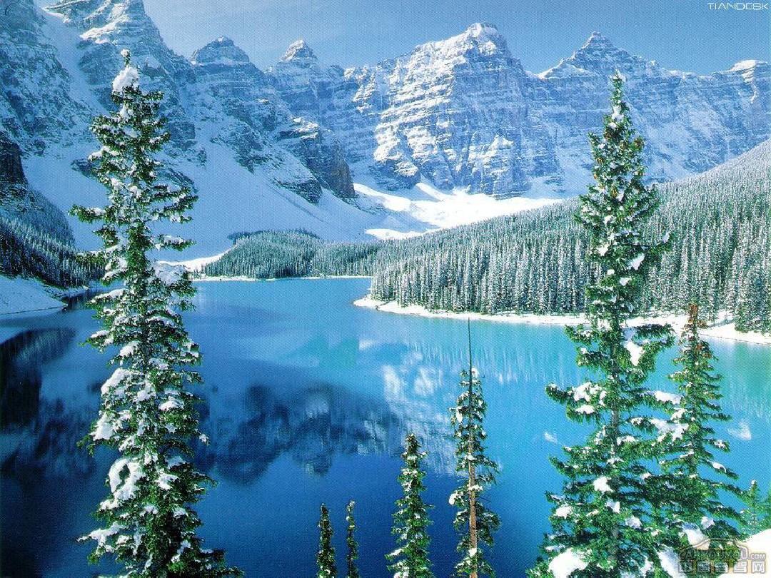 办公室光线过强容易有人际问题布局巧化解