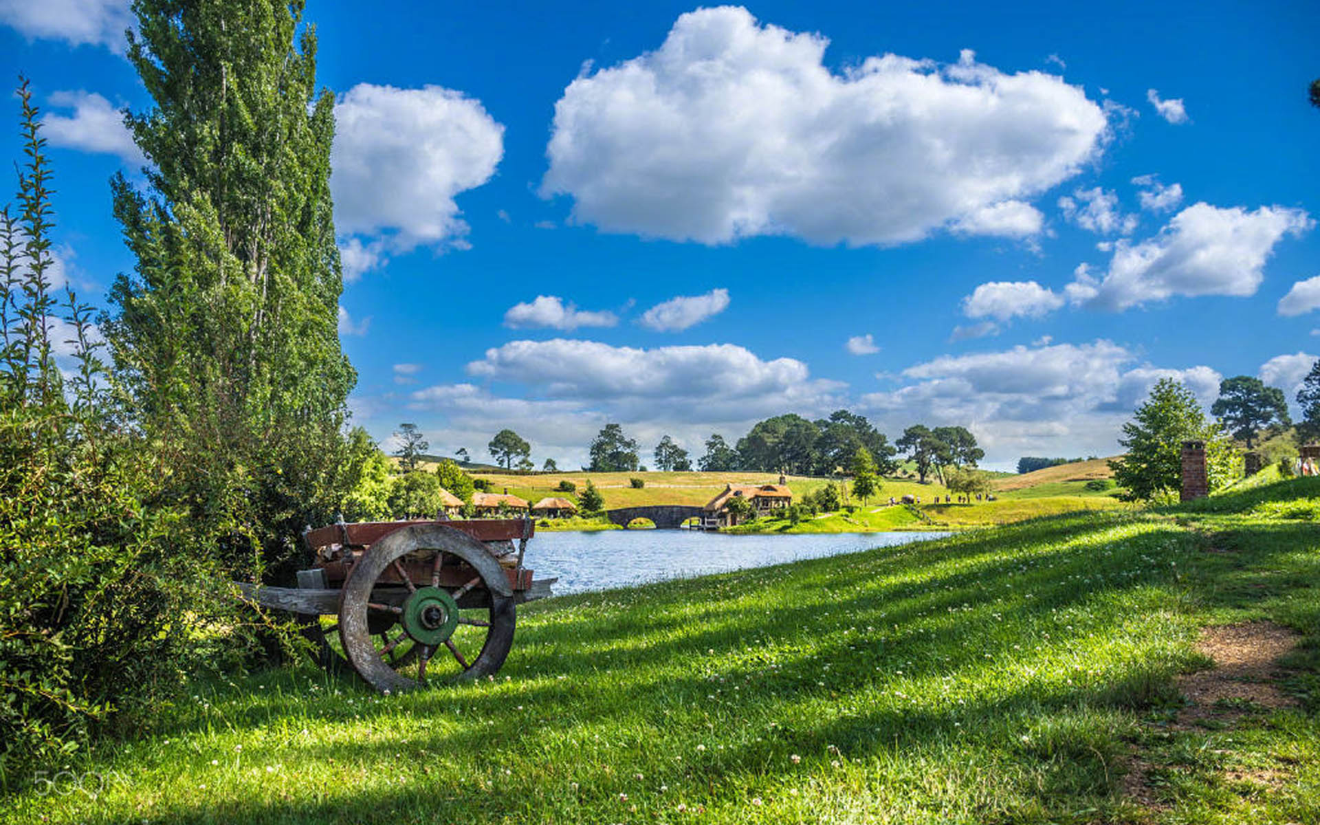 客厅财位上放什么最招财 风水轮最旺财运