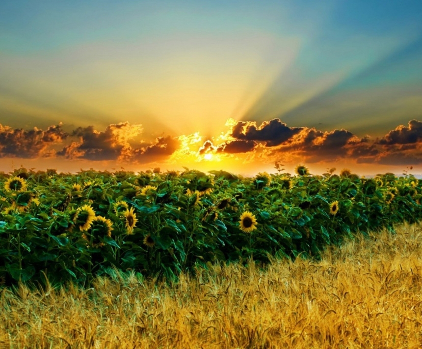 怎么才能运气好财运好 选择长款钱包旺财运