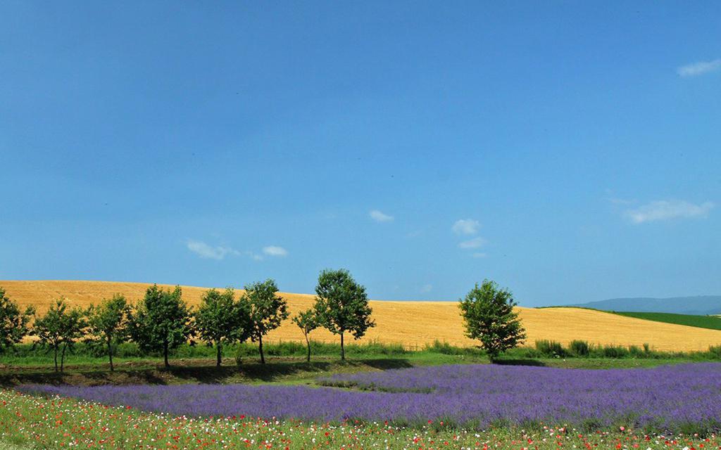 旺财风水中 保险箱的摆放一定要注意