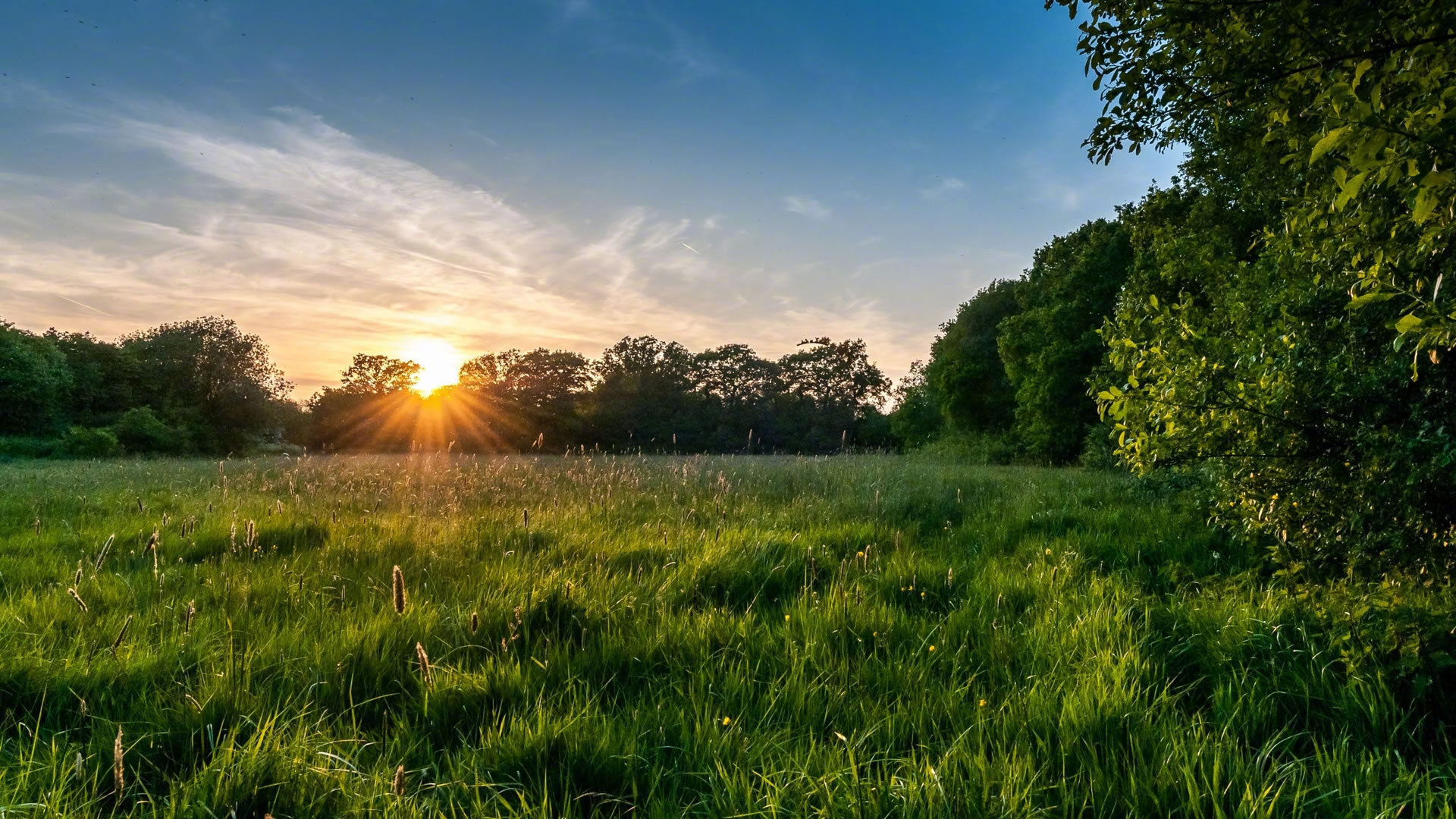 孩子的书房风水布局 书桌摆放禁忌多