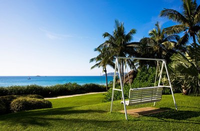 属马的人办公室养什么花最旺财