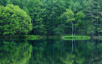 餐桌上有哪些东西是不能随意摆放的