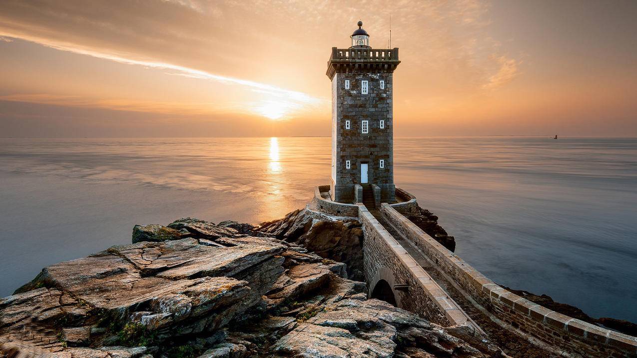 工厂种树风水，最好种什么