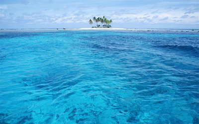 十种旺财又旺宅的植物 摆进家门提升风水