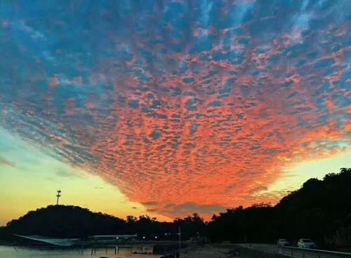 一楼窗外有棵桃树好不好 在风水上象征什么