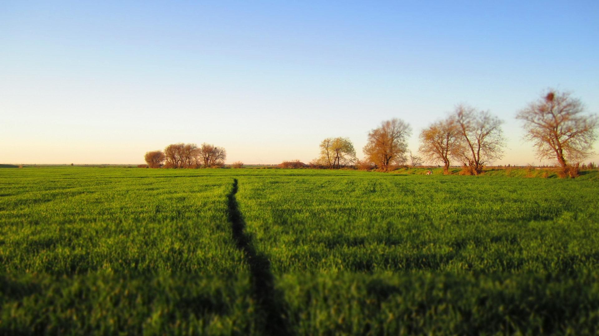 五行缺金适合在什么环境下工作