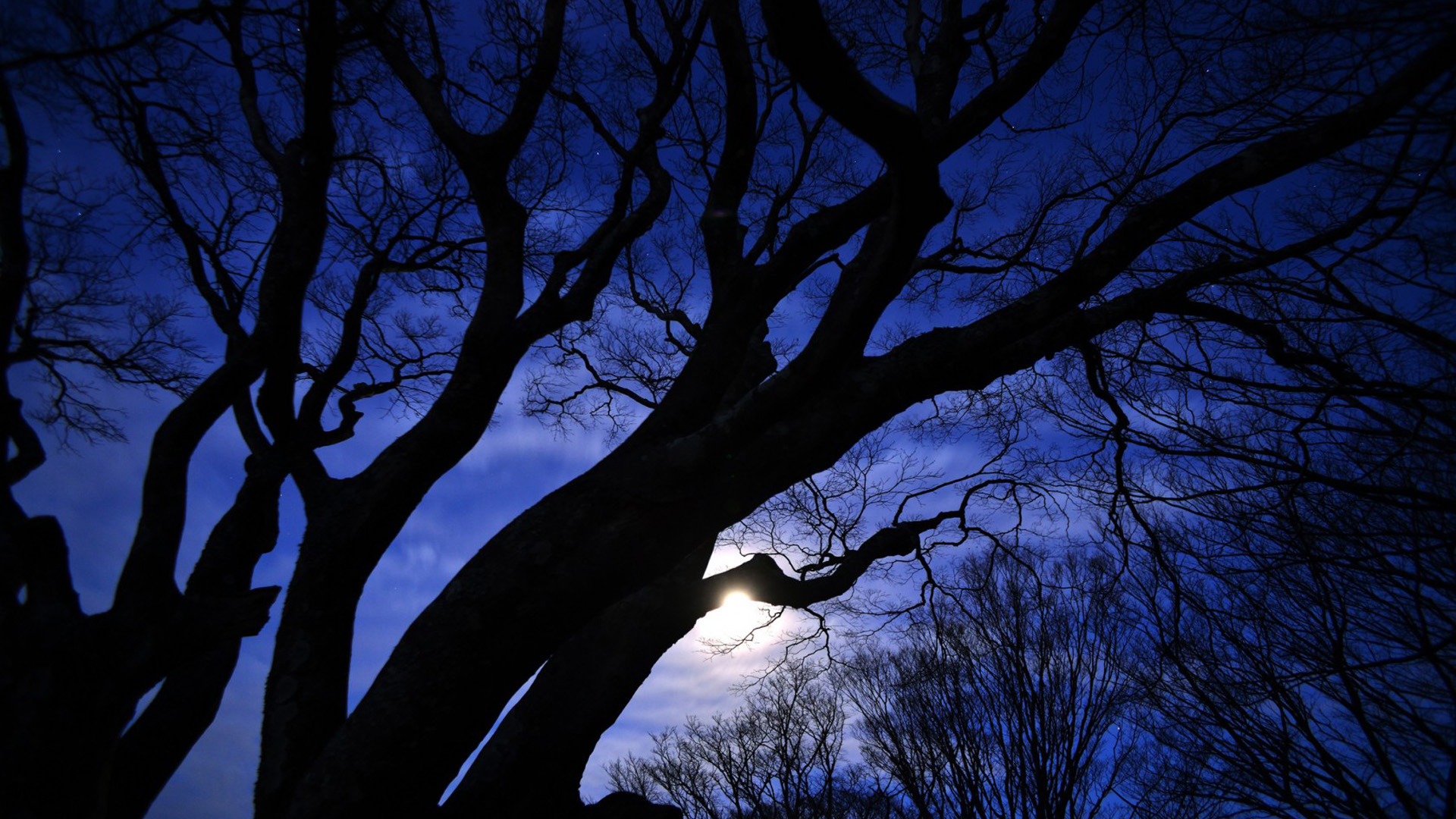 地板以坚固为宜