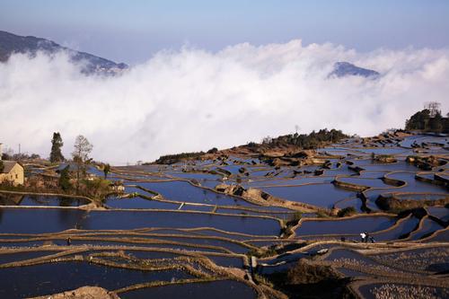 公司财务室能不能摆八卦镜