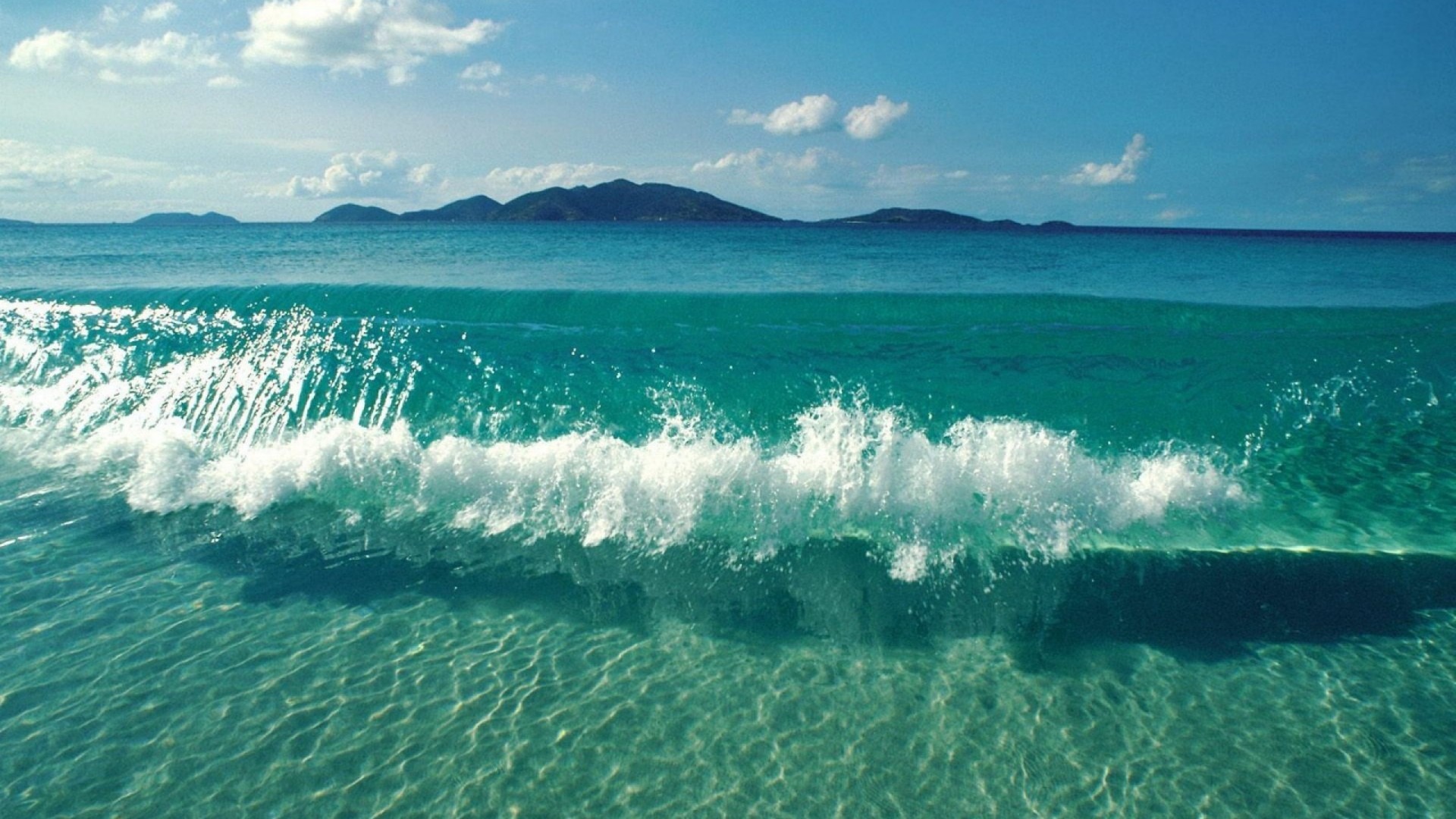 家里摆什么假花 对风水好