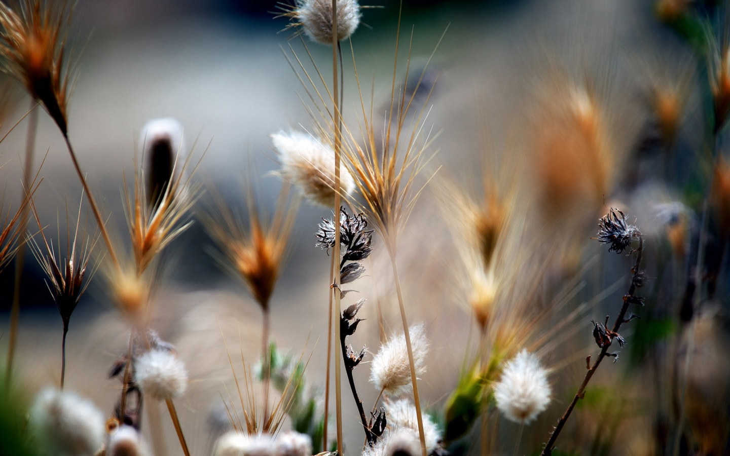 卧室里养绿萝婚姻风水好吗