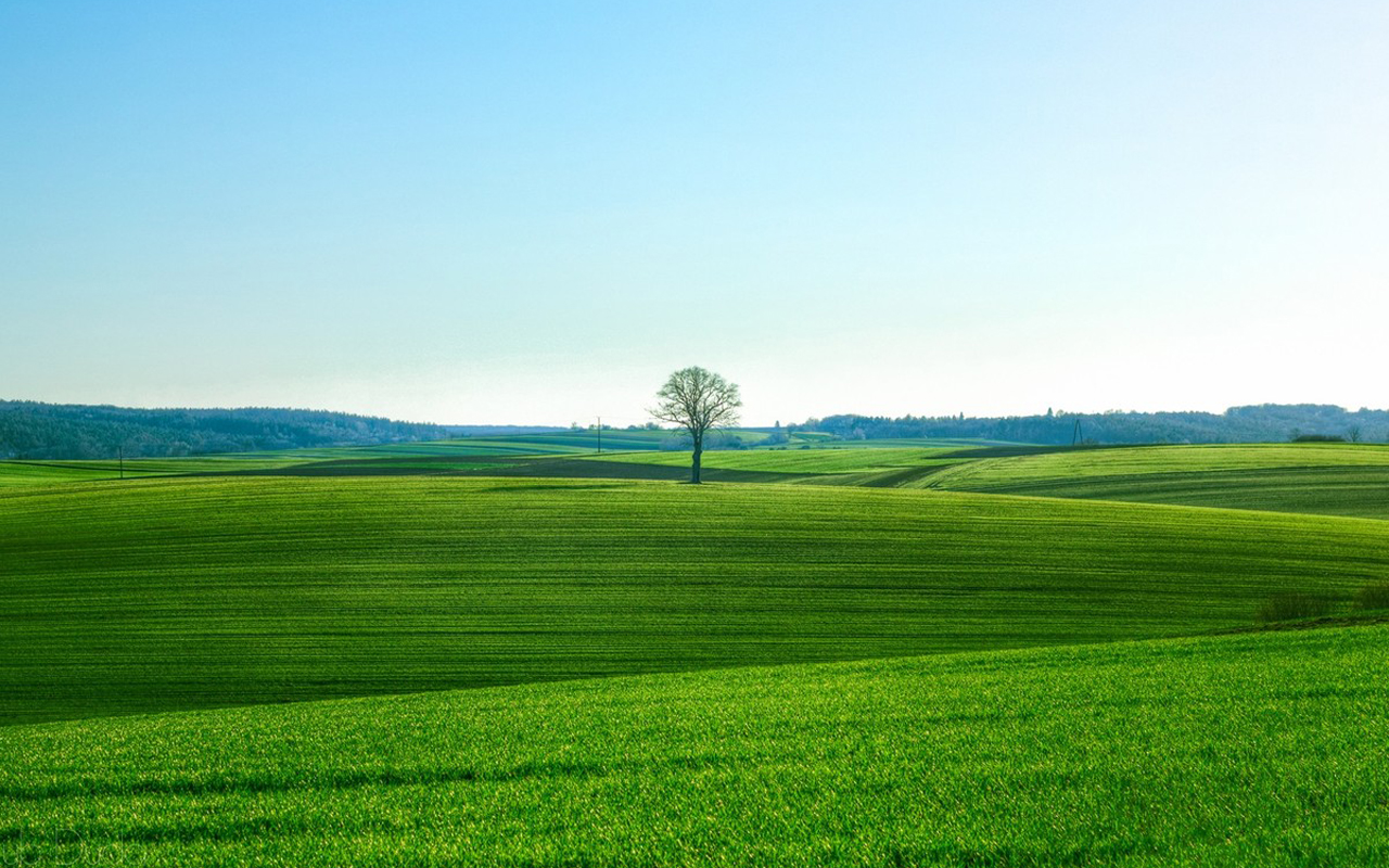 院子中间有大石头是吉是凶