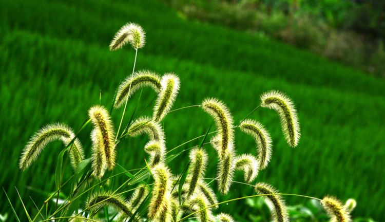 农村院子风水怎样聚财 农村建筑风水