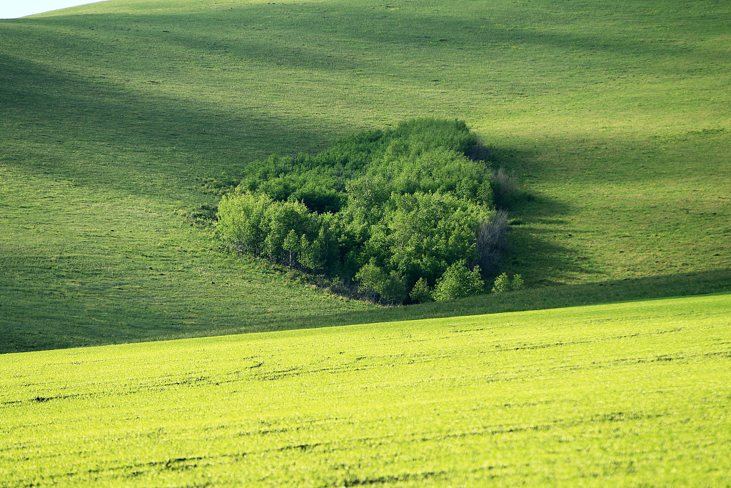 客厅财位中光源色彩的布局要遵循什么