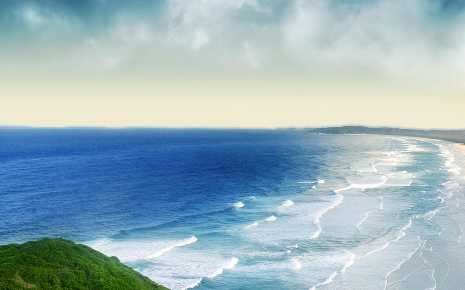 家里最旺财的十种花 十大寓意吉利的花