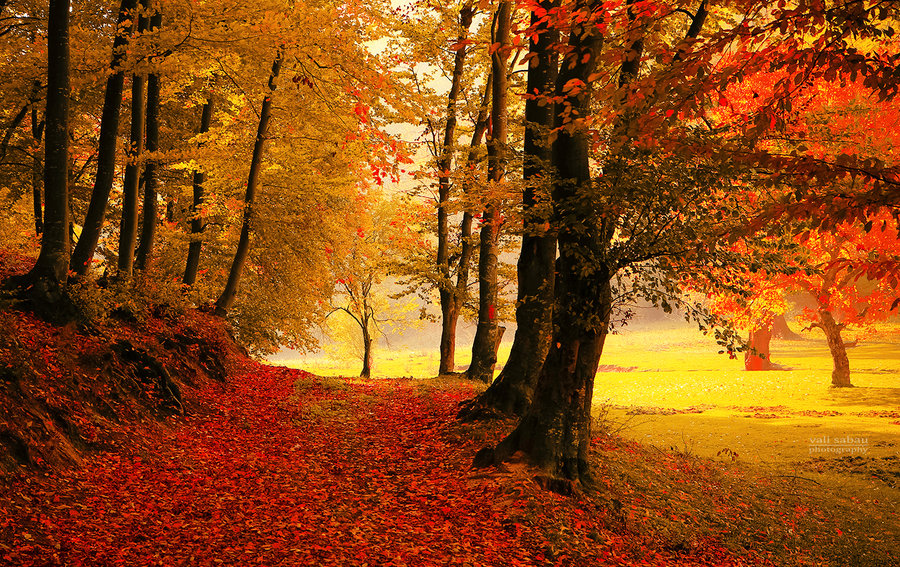 破坏阴宅风水最狠方法 有什么方法