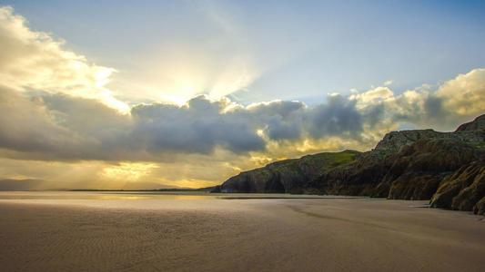 家里养什么植物旺财 好事多磨为白掌