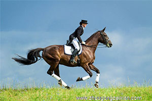 梦见骑马是什么意思