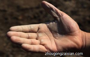 梦见手上有虫子是什么意思