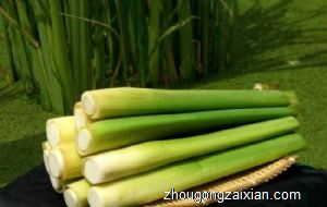 梦见茭白、高笋是什么意思