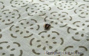 做梦梦到自己床上有很多虫子是什么意思