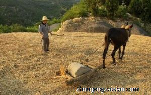 梦见碾麦子是什么意思