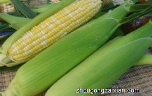 梦见别人送自己玉米是什么意思