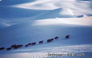 梦见去错地方是什么意思