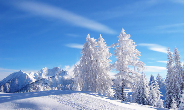 梦见冬季是什么意思