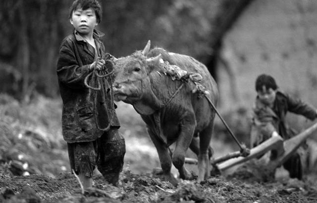 梦见贫穷是什么意思