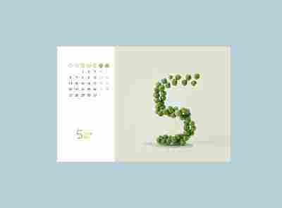 梦见五月是什么意思