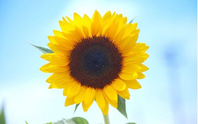 梦见一整天是什么意思