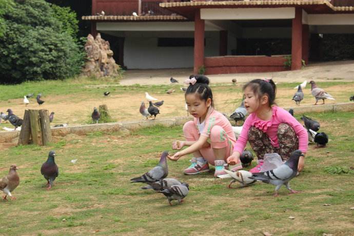 打算出门的人梦见小朋友是什么意思