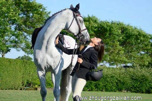 梦见自己是马贩子，低价买进一匹好马是什么意思