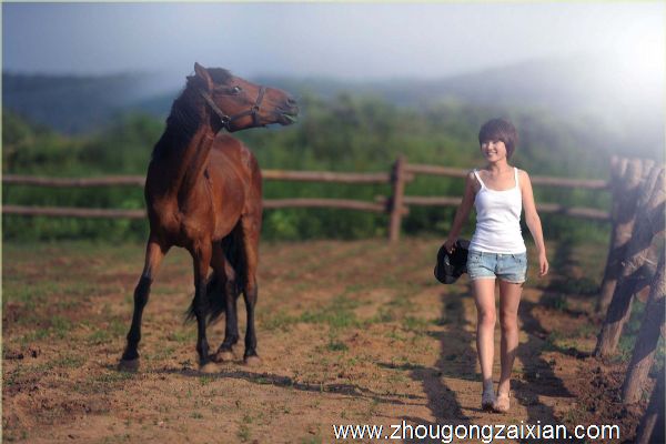 梦见骒马和小马驹朝自己走来是什么意思