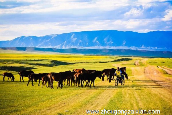 久病痊愈的梦见骑马是什么意思