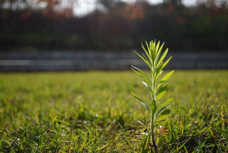 梦见阳光明媚的天气是什么意思