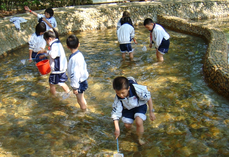 梦见下河捉鱼是什么意思